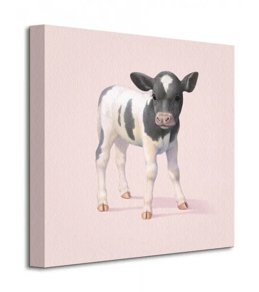cow-obraz-na-plotnie-40x40-cm-stan-nowy
