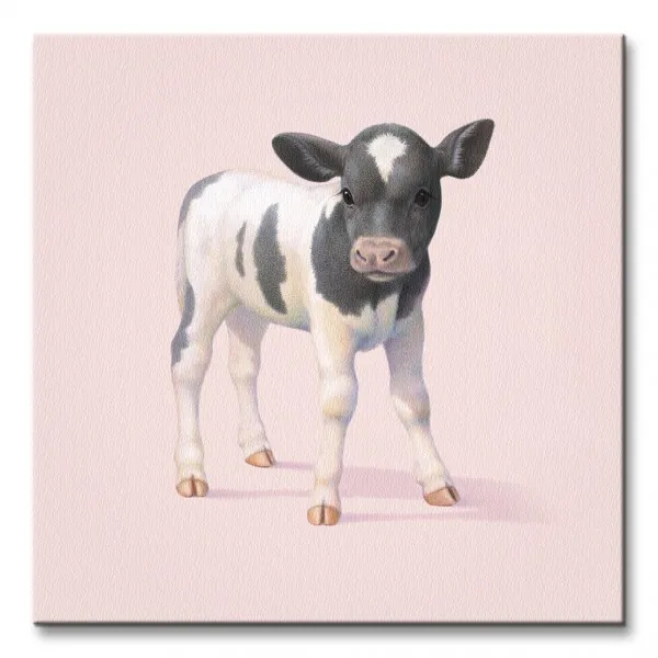 cow-obraz-na-plotnie-40x40-cm-stan-nowy