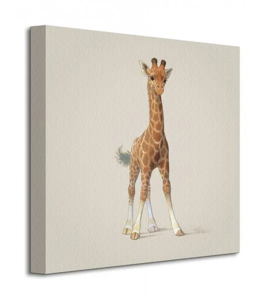 giraffe-obraz-na-plotnie-40x40-cm-stan-nowy