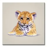 jaguar-obraz-na-plotnie-40x40-cm-stan-nowy