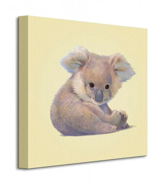 koala-obraz-na-plotnie-40x40-cm