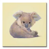 koala-obraz-na-plotnie-40x40-cm-stan-nowy
