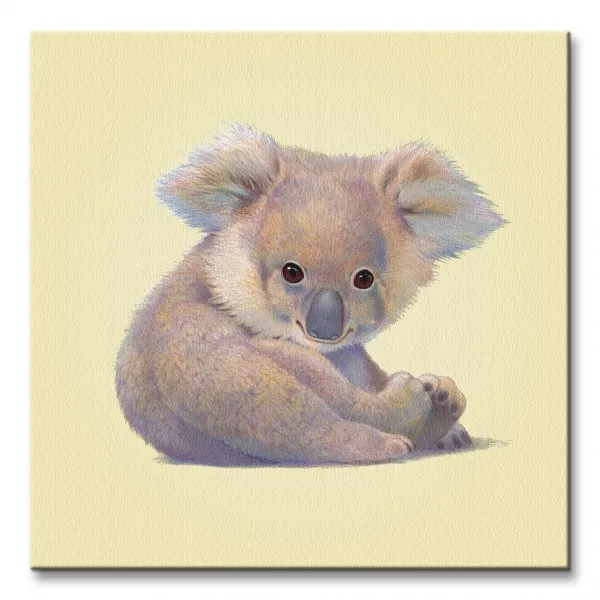 koala-obraz-na-plotnie-40x40-cm
