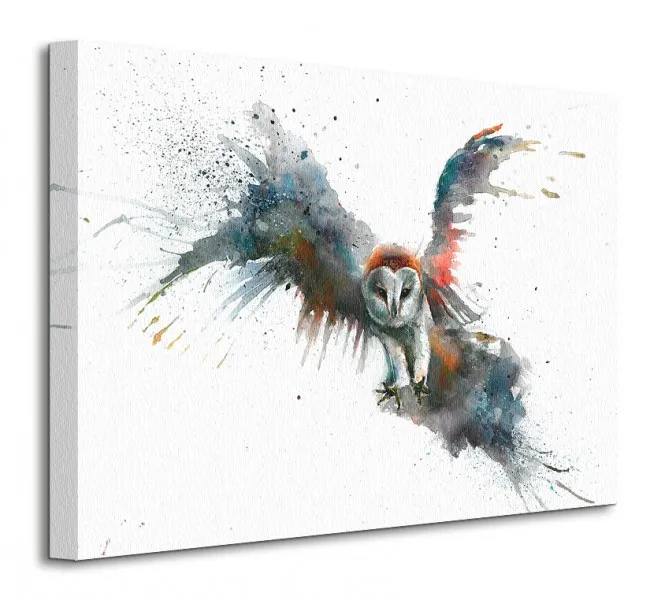 eric-in-flight-sowa-obraz-na-plotnie-50x40-cm