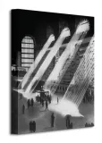 new-york-central-obraz-na-plotnie-30x40-cm