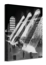 new-york-central-obraz-na-plotnie-30x40-cm
