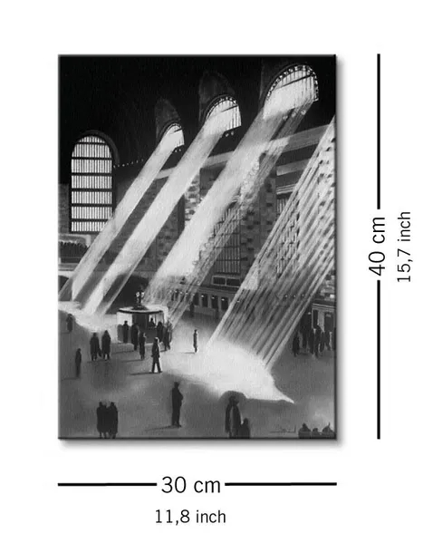new-york-central-obraz-na-plotnie-30x40-cm-stan-nowy