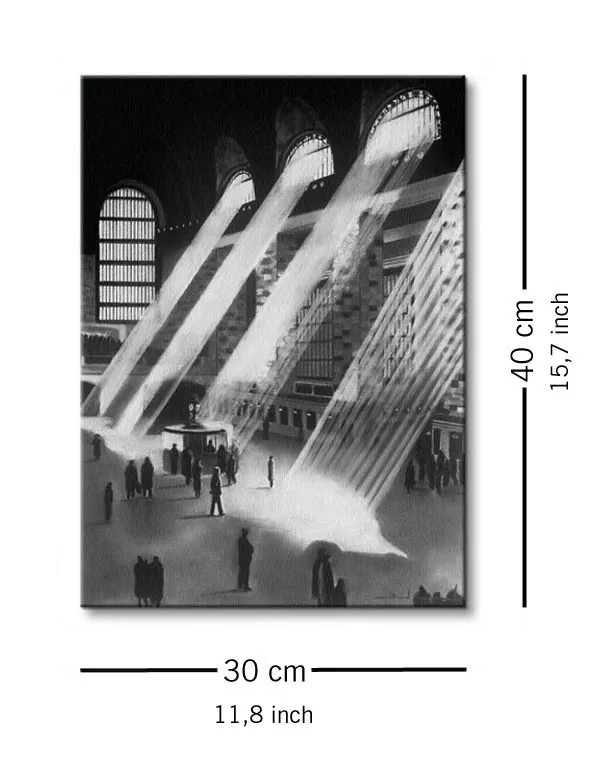 new-york-central-obraz-na-plotnie-30x40-cm