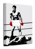 muhammad-ali-gloves-corbis-obraz-na-plotnie-30x40-cm