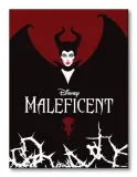 maleficent-wings-obraz-na-plotnie-30x40-cm-stan-nowy