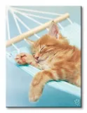 brian-obraz-na-plotnie-30x40-cm-stan-nowy