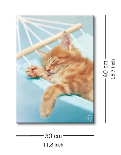 brian-obraz-na-plotnie-30x40-cm-stan-nowy