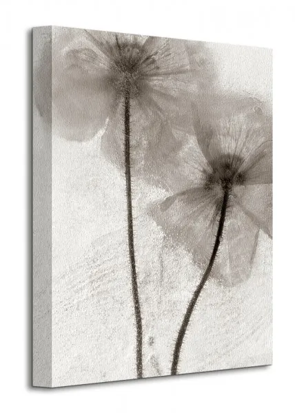 ice-form-60-obraz-na-plotnie-30x40-cm