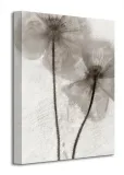 ice-form-60-obraz-na-plotnie-30x40-cm