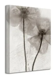 ice-form-60-obraz-na-plotnie-30x40-cm