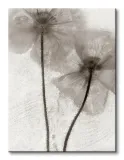 ice-form-60-obraz-na-plotnie-30x40-cm-stan-nowy