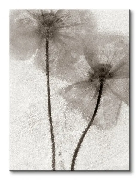 ice-form-60-obraz-na-plotnie-30x40-cm