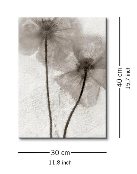 ice-form-60-obraz-na-plotnie-30x40-cm-stan-nowy