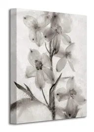 ice-form-51-obraz-na-plotnie-30x40-cm
