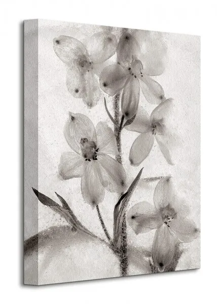 ice-form-51-obraz-na-plotnie-30x40-cm