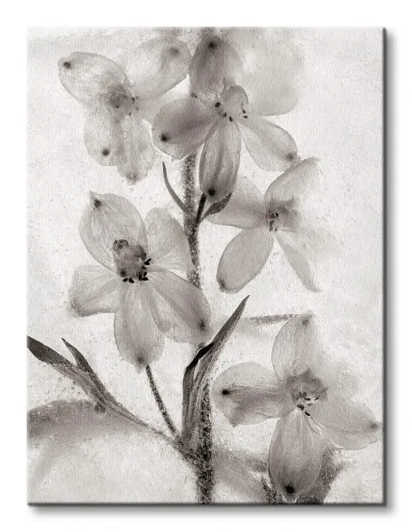 ice-form-51-obraz-na-plotnie-30x40-cm