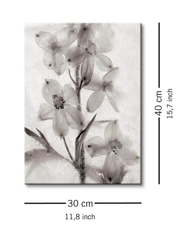 ice-form-51-obraz-na-plotnie-30x40-cm-stan-nowy