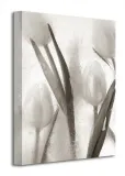 ice-form-7-obraz-na-plotnie-30x40-cm