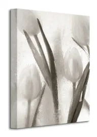 ice-form-7-obraz-na-plotnie-30x40-cm