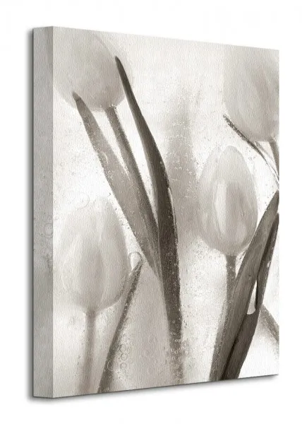 ice-form-7-obraz-na-plotnie-30x40-cm-stan-nowy