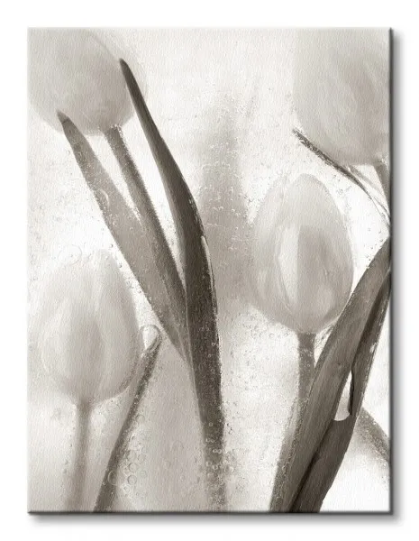 ice-form-7-obraz-na-plotnie-30x40-cm