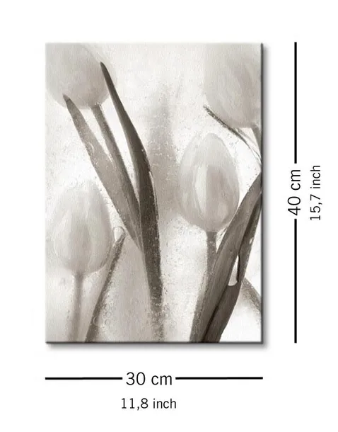 ice-form-7-obraz-na-plotnie-30x40-cm-stan-nowy