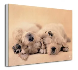 jay-and-connie-obraz-na-plotnie-40x30-cm