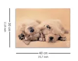 jay-and-connie-obraz-na-plotnie-40x30-cm-stan-nowy