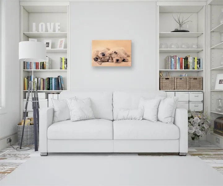 jay-and-connie-obraz-na-plotnie-40x30-cm-stan-nowy