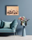 jay-and-connie-obraz-na-plotnie-40x30-cm-stan-nowy