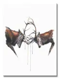 headstrong-obraz-na-plotnie-30x40-cm-stan-nowy