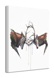 headstrong-obraz-na-plotnie-40x50-cm