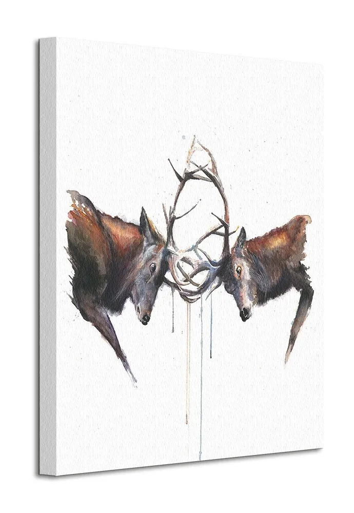 headstrong-obraz-na-plotnie-40x50-cm-stan-nowy