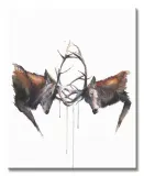 headstrong-obraz-na-plotnie-40x50-cm-stan-nowy