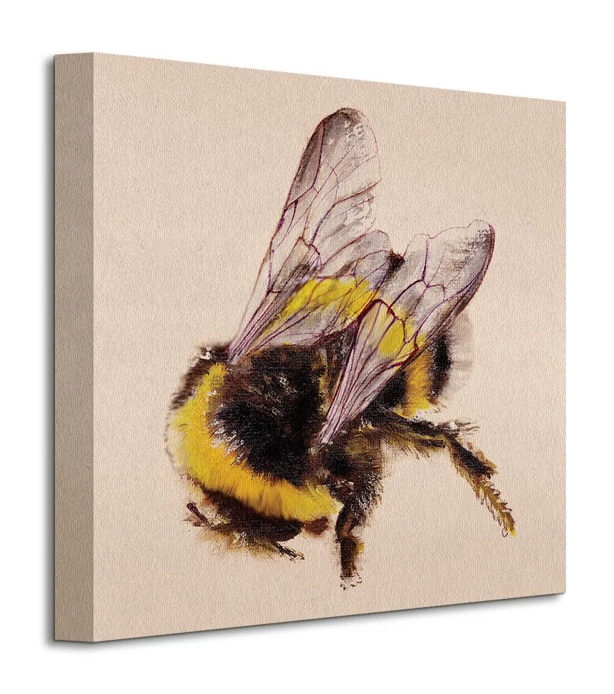 bee-obraz-na-plotnie-30x30-cm-stan-nowy