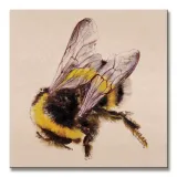 bee-obraz-na-plotnie-30x30-cm-stan-nowy