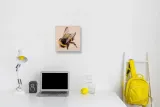 bee-obraz-na-plotnie-30x30-cm-stan-nowy