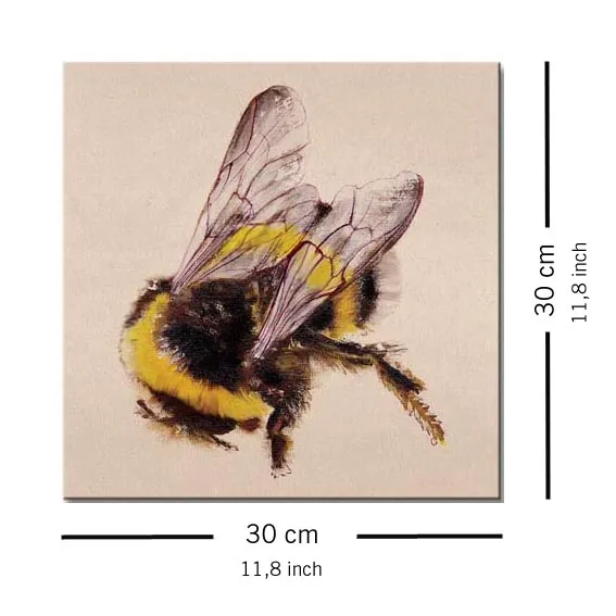 bee-obraz-na-plotnie-30x30-cm-stan-nowy
