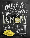 lemons-obraz-na-plotnie-40x50-cm-stan-nowy