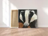 badger-obraz-na-plotnie-30x30-cm-stan-nowy