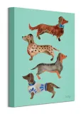 dachshunds-obraz-na-plotnie-30x40-cm