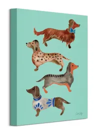 dachshunds-obraz-na-plotnie-30x40-cm