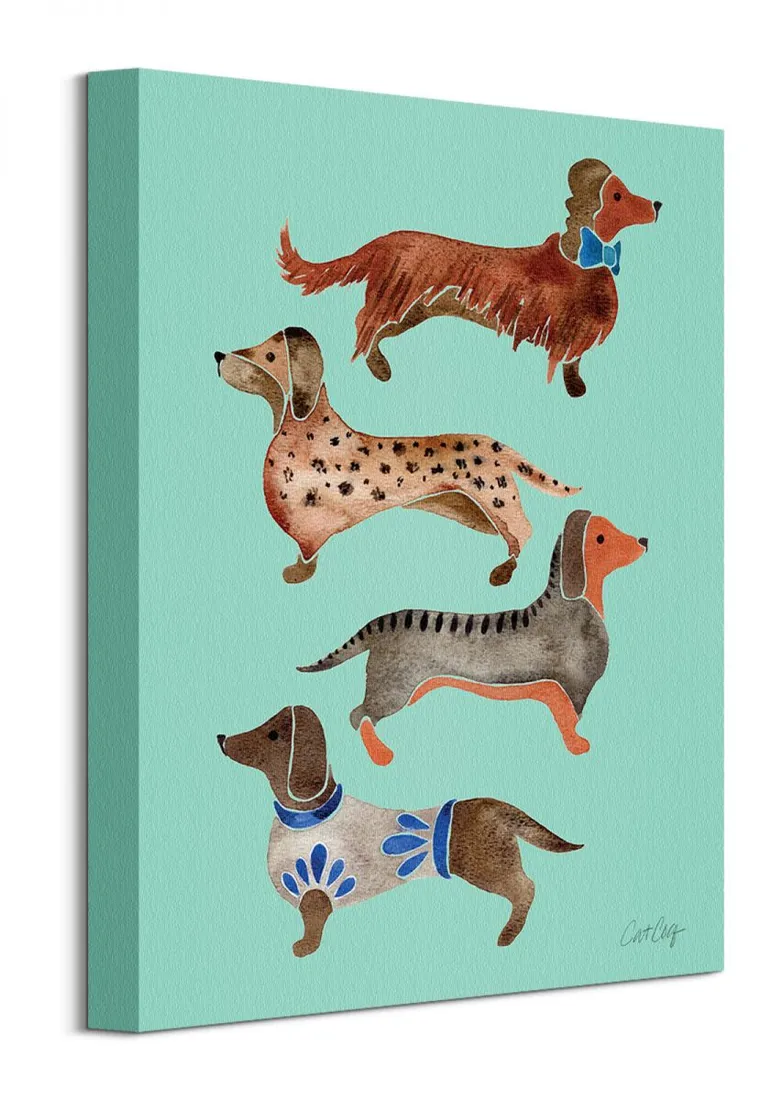 dachshunds-obraz-na-plotnie-30x40-cm