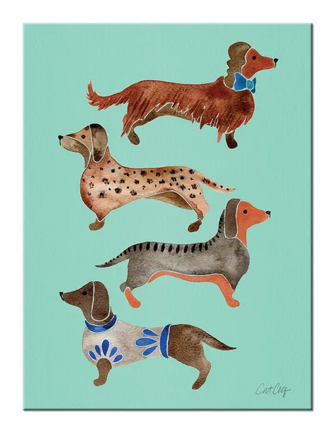 dachshunds-obraz-na-plotnie-30x40-cm-stan-nowy