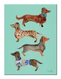 dachshunds-obraz-na-plotnie-30x40-cm-stan-nowy